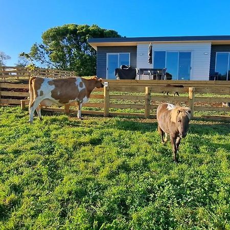 Country Comfort - Only 10 Minutes From Hamilton Cbd Екстериор снимка