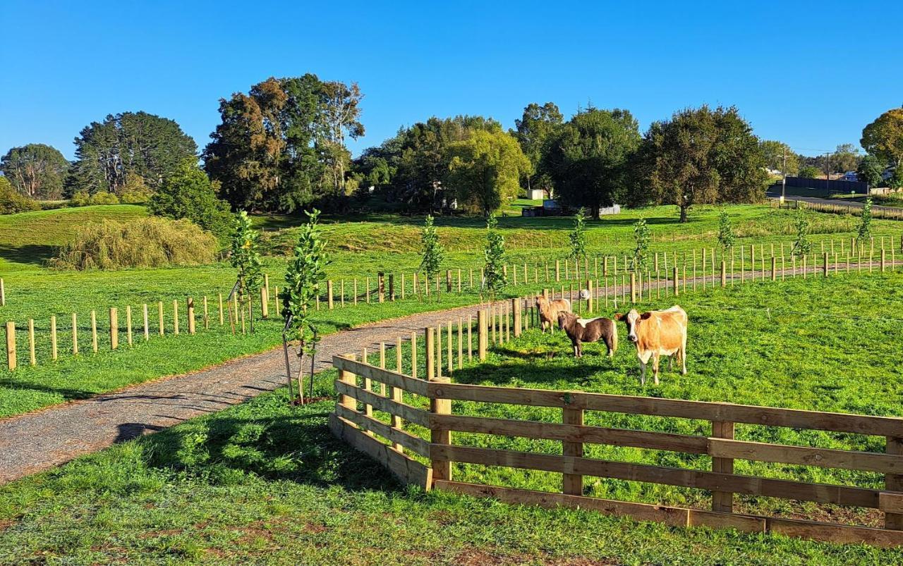 Country Comfort - Only 10 Minutes From Hamilton Cbd Екстериор снимка