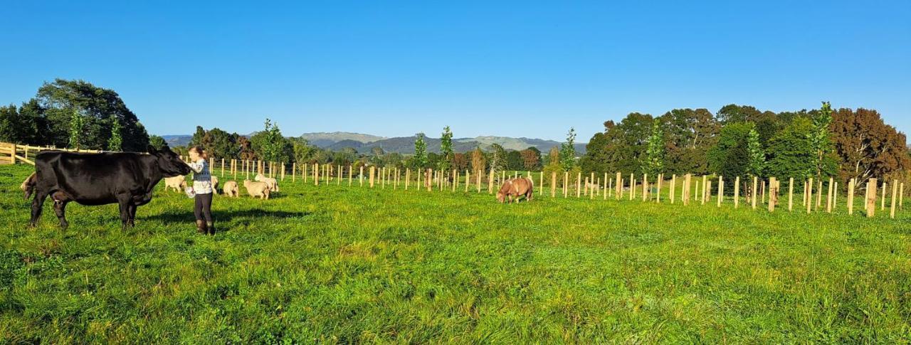 Country Comfort - Only 10 Minutes From Hamilton Cbd Екстериор снимка